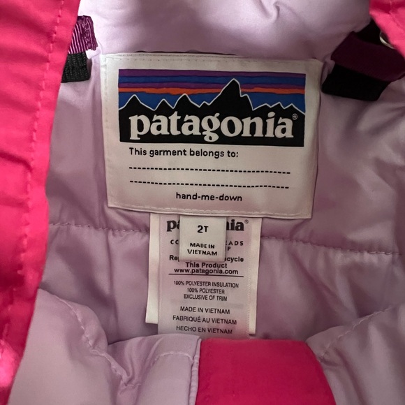 2T Patagonia Snow Pile Bibs/Skipants - Picture 4 of 6
